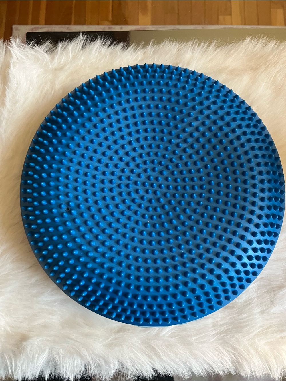 Blue bumpy Balance Disc Cushion sensory seat